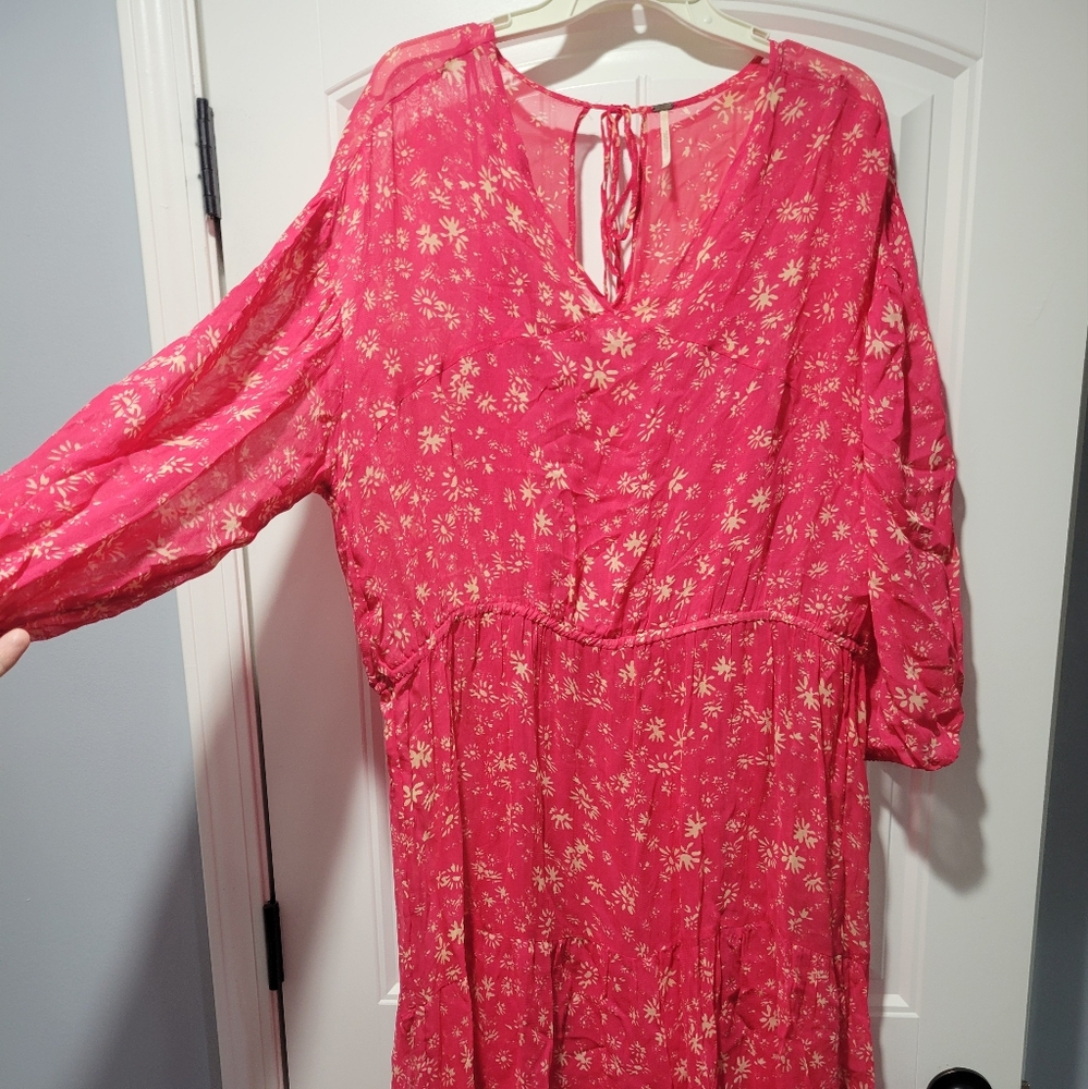 Sheer Dress w/Tank Dress